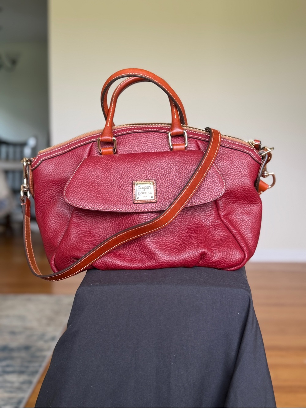 Dooney & Bourke Red Leather Satchel with Brown Trim